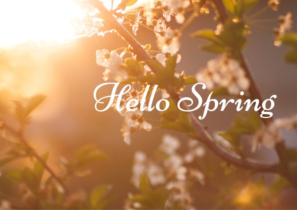 women's spring casual outfits