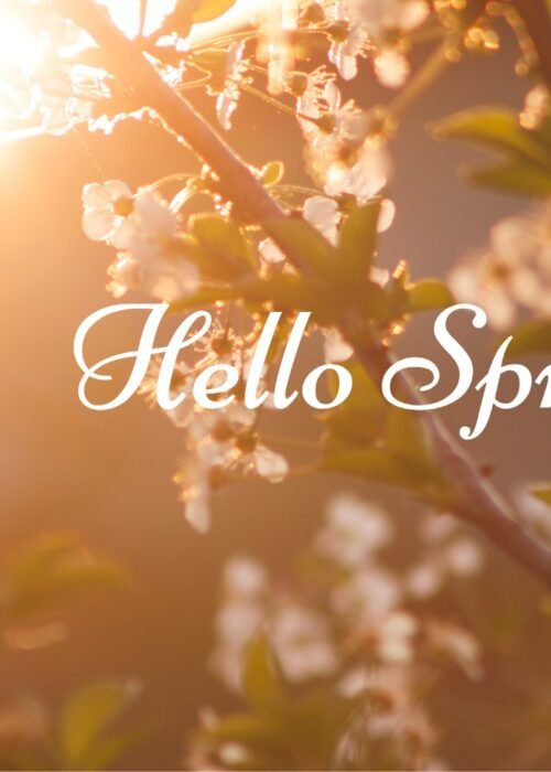 WhatsApp Image 2026-04-07 at 2.17.47 PM