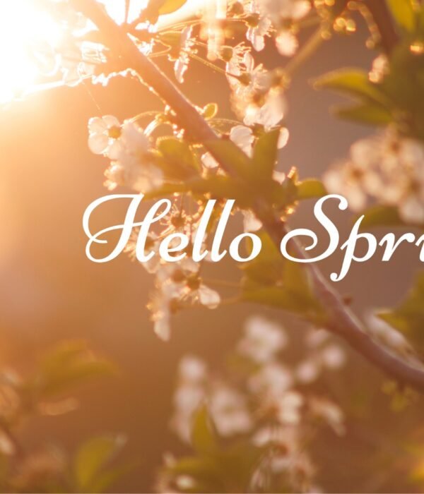 WhatsApp Image 2026-04-07 at 2.17.47 PM