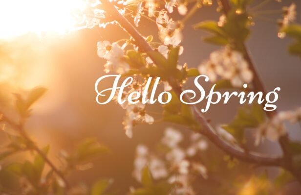 22 best Women’s spring casual outfits in 2026